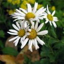 웃는아이소아청소년과의원 이미지