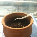 경임농장 이미지