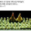 빵긋