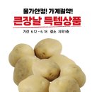 큰장날식품 이미지