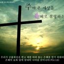 (주)이누 이미지