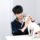 보라매동물병원 이미지