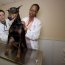 오 동물병원 이미지