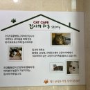 집사의 하루 건대점 이미지