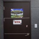 미샤스크린골프 이미지