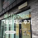 네일902 | [울산/동구] 네일채도｜유지력 끝판왕! 야간 시술 가능한 방어동네일 솔직 후기 💅