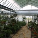 화가의정원 이미지