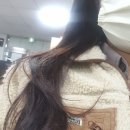 복개천산오징어 이미지