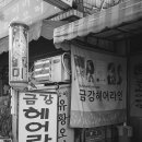 금강헤어라인