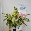 홍'S 네일 이미지
