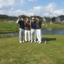 공때리기 Daum카페