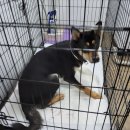 제주오름동물병원 이미지