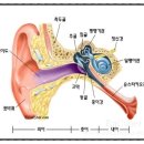 메디컬 보청기 이미지