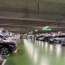 미진 인터내셔날 이미지