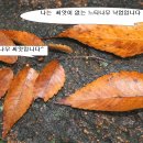 남한산초등학교 이미지