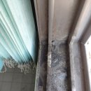 미라2길 이미지