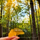 서울숲공원 관리사무소 | 서울 은행나무명소 서울숲 은행나무숲 위치 주차 단풍 현황