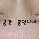 홍언니네파우더룸