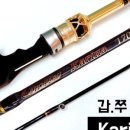 디제이피싱당진낚시