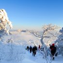 태백종합관광안내소 이미지