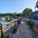 칠십리교 이미지