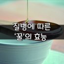 [질병에 따른 ‘꿀’의 효능] 이미지