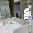 일룸 쿠시노 저상형 침대(인조가죽, 범퍼형)
