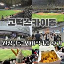 119 | 서울 고척스카이돔 3루 외야 1층 119구역 G열 후기
