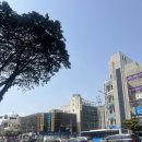 드림포레산부인과의원 이미지