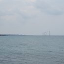 제주 올레길 14코스 이미지