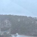 운장산가든 | 폭설이지만 포근하게, 자연휴양림에서의 자발적 고립