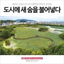 새숨