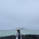 서쪽사계 이미지