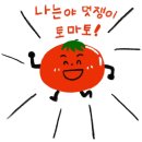 멋쟁이토마토 이미지