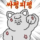 게스트하우스이웃
