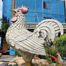 큰나무집궁중약백숙 이미지