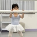 유아발레(주말) 네이버블로그