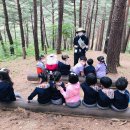 삼척동자 유아숲체험원 이미지