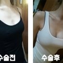 모티바