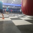 부산챔프복싱클럽 이미지