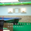 당구클럽 녹색당 이미지