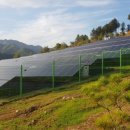 경일태양광발전소 이미지