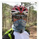 김종필농장 이미지