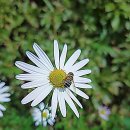 진동리주차장2(주차장 내) | 김포공항 제2주차장 셔틀 주차비 계산 후기