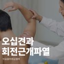 오십견의 원인과 비수술적 치료 | 오십견과 회전근개파열 차이점은? 어깨 통증 원인 쉽게 구별하기