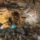 태백운수 이미지