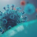 외산시장 이미지