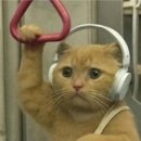 유알풀빌라 이미지