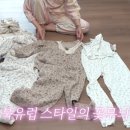 파티하다 마이데일리