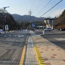 정을담 | 순본담 흑마늘정 1달 후기, 가슴 답답함이 진짜 줄어들까?(내돈내산 구매 후기)